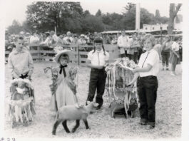 Little Bo-Peep
