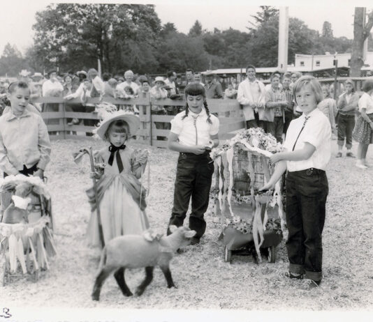 Little Bo-Peep