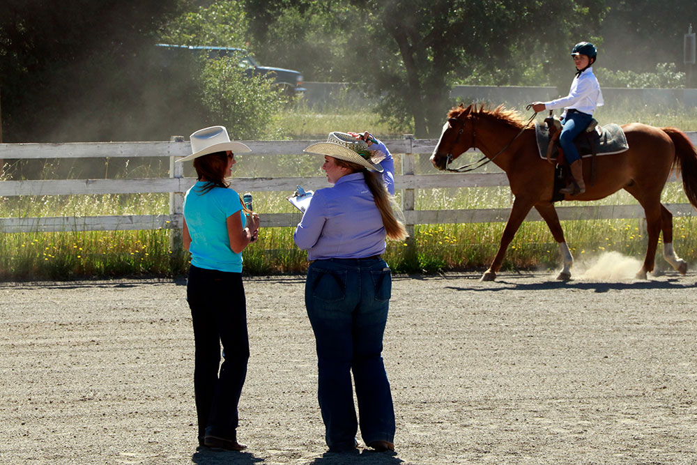 Horse show
