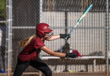 Lady Hounds play Friday for Div. 6 championship