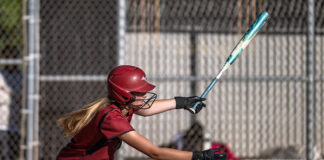 Lady Hounds play Friday for Div. 6 championship