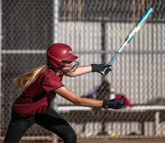 Lady Hounds play Friday for Div. 6 championship