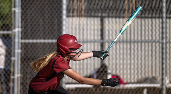 Lady Hounds play Friday for Div. 6 championship Claire Berry gets a hit