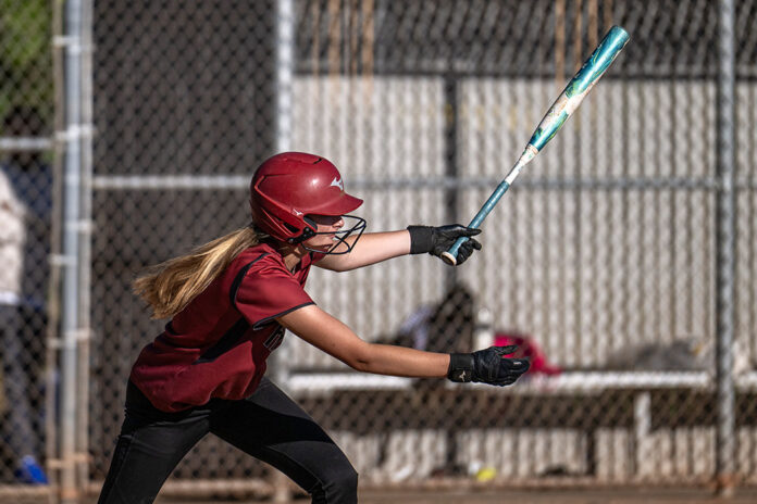 webSOFTBALL-1