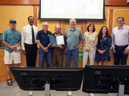 City Report: Pollinators, paint and pedicabs