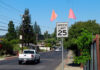 Flags call out new city speed limits