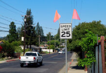 Flags call out new city speed limits