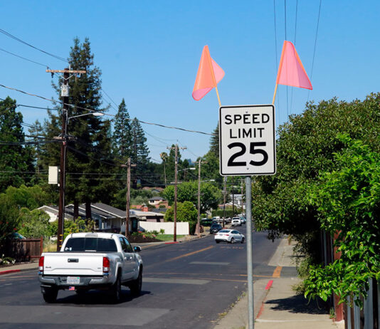 Flags call out new city speed limits