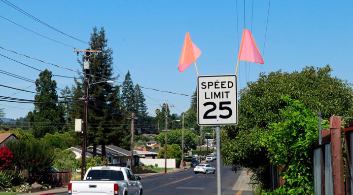 Flags call out new city speed limits
