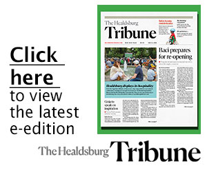 Read the latest edition online