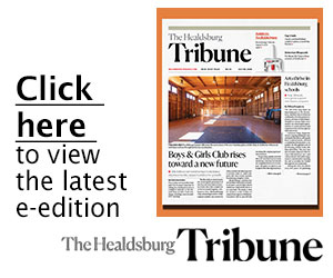 Read the paper online