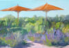 Things to do in Healdsburg, July 30-August 6