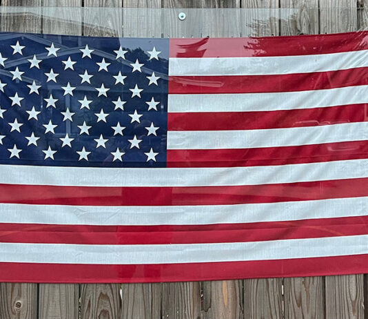 Snapshot: Happy Birthday, America American flag