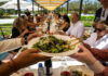 Things to do in Healdsburg, Aug 13-21