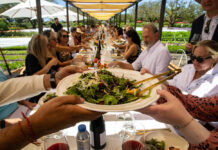 Things to do in Healdsburg, Aug 13-21
