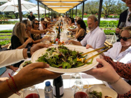 Things to do in Healdsburg, Aug 13-21