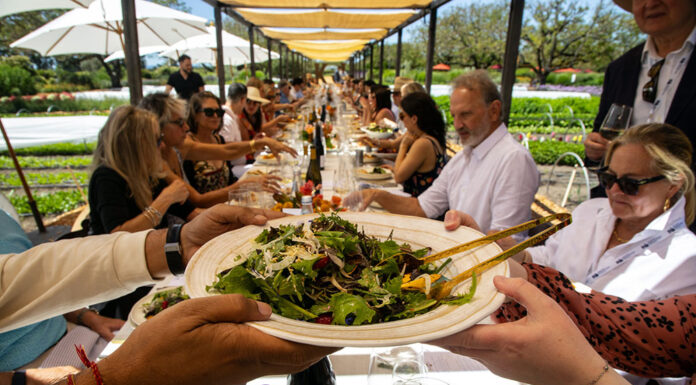Things to do in Healdsburg, Aug 13-21