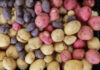 colorful potatoes