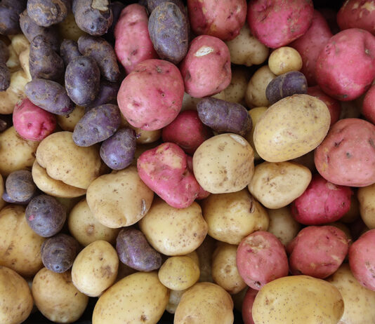 colorful potatoes