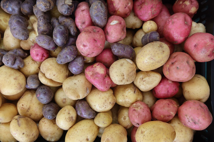 colorful potatoes