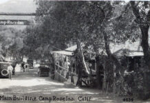 Growing up at Camp Rose Theater