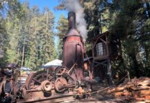 Snapshot: When lumber was king