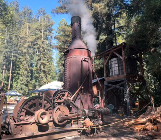 Snapshot: When lumber was king