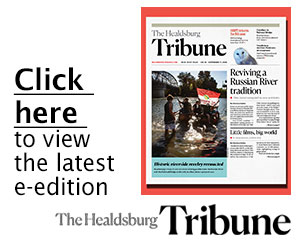 Click this image to view the issue...