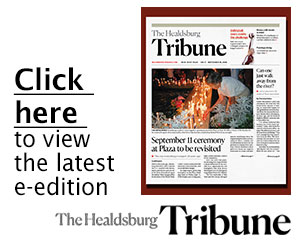 Click to view the issuu...