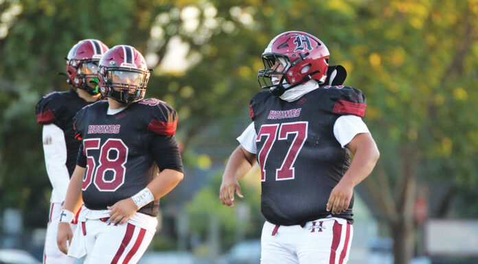 Hounds hunt for 3 in a row