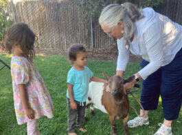 Anyone for Tai Chi Thursday? Goats optional