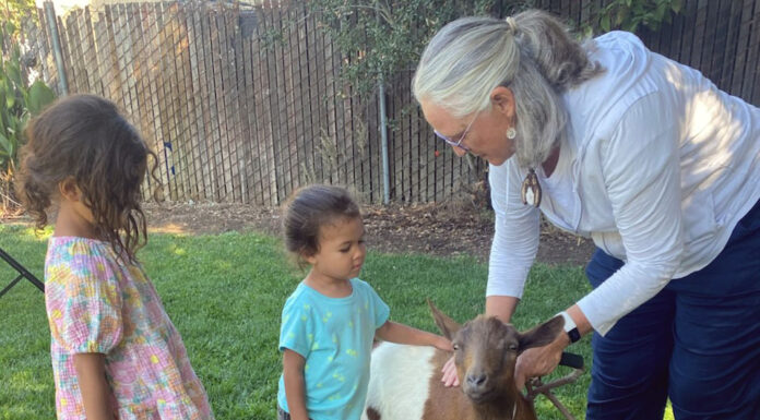 Anyone for Tai Chi Thursday? Goats optional