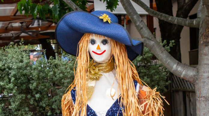Gallery: Scarecrows invade the Plaza