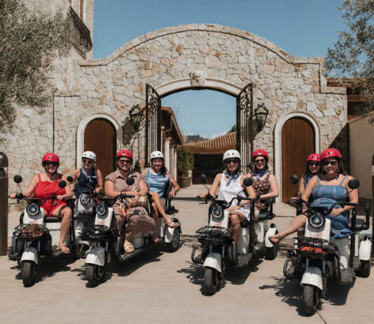 Now there are Wine Country e-trike tours