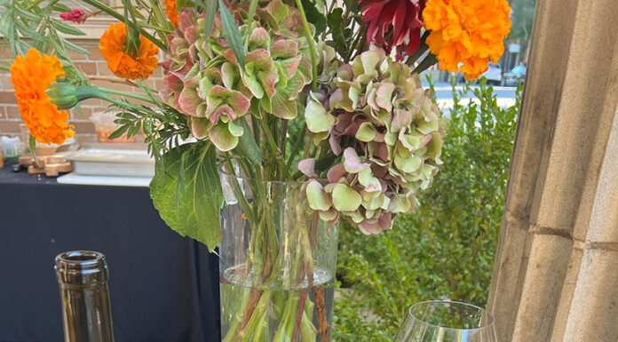 Snapshot: Wine tasting and art walking